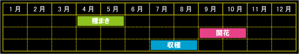 タデアイの栽培カレンダー